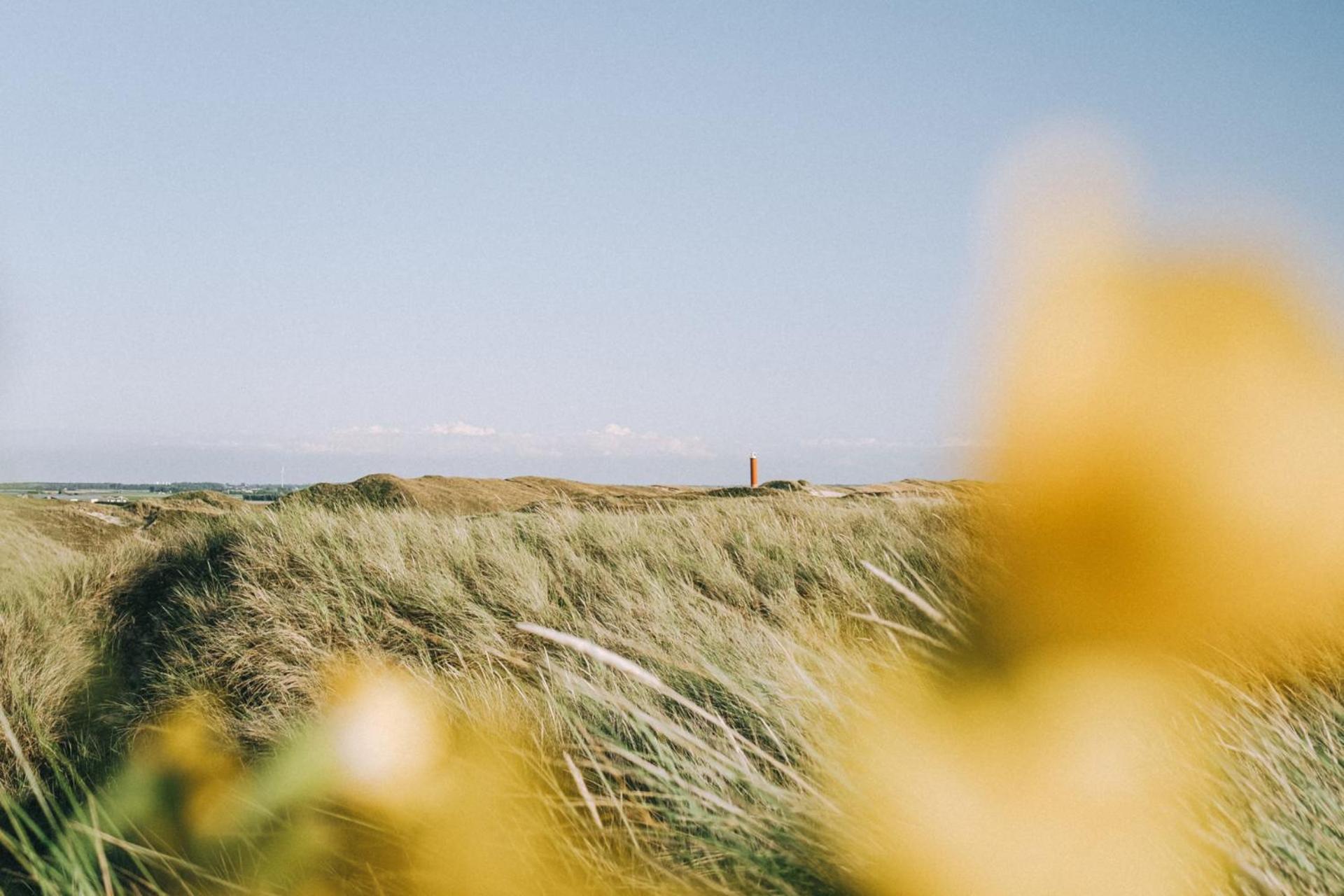 Vakantiehuis Nordseezauber - Callantsoog Aan Zee Exterior foto